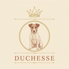 Duchesse – Accueil