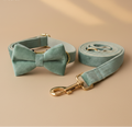 Lay flat — Ensemble Tuileries avec nœud papillon
